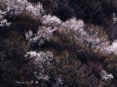 -妙峰山风景名胜区