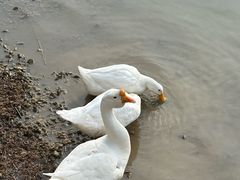 -中国农业博物馆