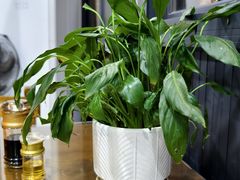 -朗记餐厅·传统湛江菜(康宁路店)
