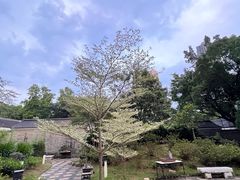 -九龙寨城公园