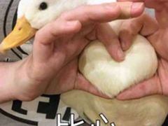 -陈记柳州螺蛳粉(大坪店)