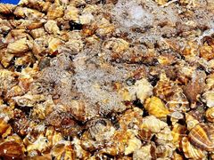 -三亚火车头万人海鲜广场