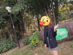 -金山植物公园
