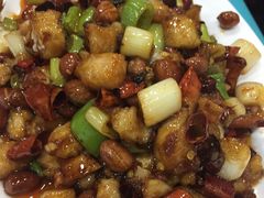 -天一沾水肥肠(科园一街店)