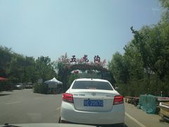 -渭南桃花源民俗文化园