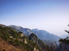 -朱雀国家森林公园