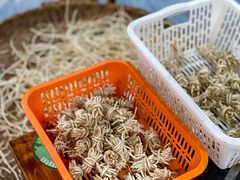 -小向麻辣烫(天街总店)