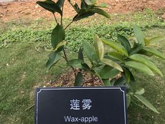 -厦门悦华酒店