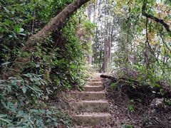 -火炉山森林公园