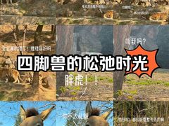 -杭州野生动物世界