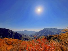 -大岭沟猕猴桃谷风景区
