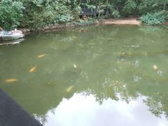 -白马涧龙池景区