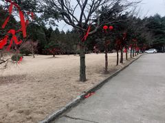 -四明山国家森林公园