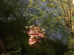 -黄鹤楼