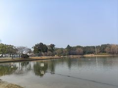 -上海佘山茂御臻品之选酒店(原佘山艾美酒店)