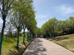 -青藏高原野生动物园