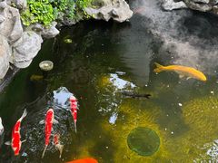 -鲤院·新中式美学·庭院餐厅(夫子庙店)