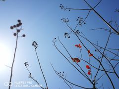 -海港城购物中心