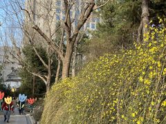 -团结湖公园