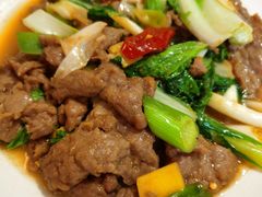 -曾牛肉