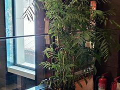 -老牌坊鲁菜名店(聊城美食岛店)