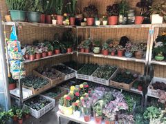 -合肥市裕丰花鸟虫鱼市场-F区