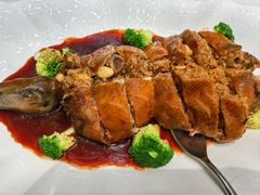-丁老爷子苏香圆