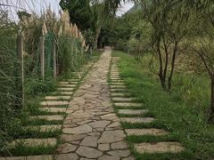 -贵阳市花溪国家城市湿地公园