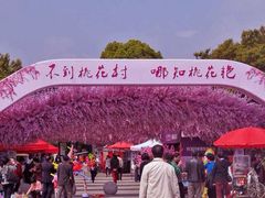 -南汇桃花村