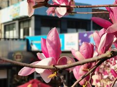 -证大大拇指广场(芳甸路店)