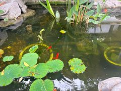 -南京市民俗博物馆(甘熙故居)