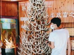 -北京鹿世界主题园