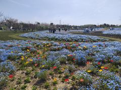 -上海滨江森林公园