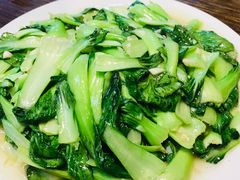 -枣庄辣子鸡(辽阳西路店)