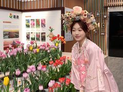-荷兰花海