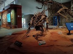 -自贡恐龙博物馆
