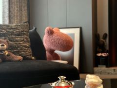 -至美焕新·全屋翻新