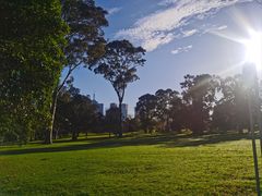 -墨尔本皇家植物园