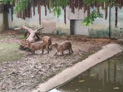 -泉州海丝野生动物世界