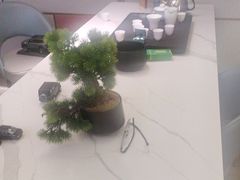 -国惠大酒楼(宝龙店)