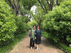 -上海长兴岛郊野公园