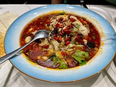 -丁老爷子苏香圆