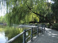 -莲湖公园