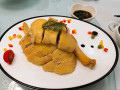 特色白切草母鸡-新名仕新白玉兰餐厅