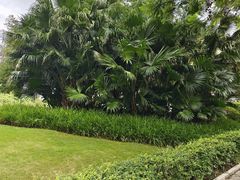 -重庆熙街