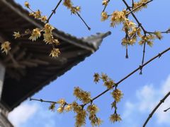 -溪口-滕头旅游景区