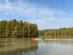 -上海海湾国家森林公园