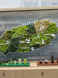 -悦诗风吟innisfree