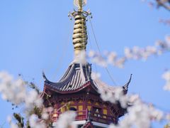 -鸡鸣寺
