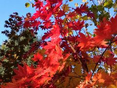 -长春市南湖公园